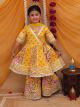 Rich Looking girls Kurta sharara set