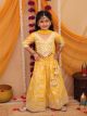 Rich Looking girls lehanga choli set