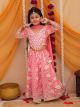 Rich Looking girls lehanga choli set