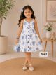 Pretty girls summer sleevless frock